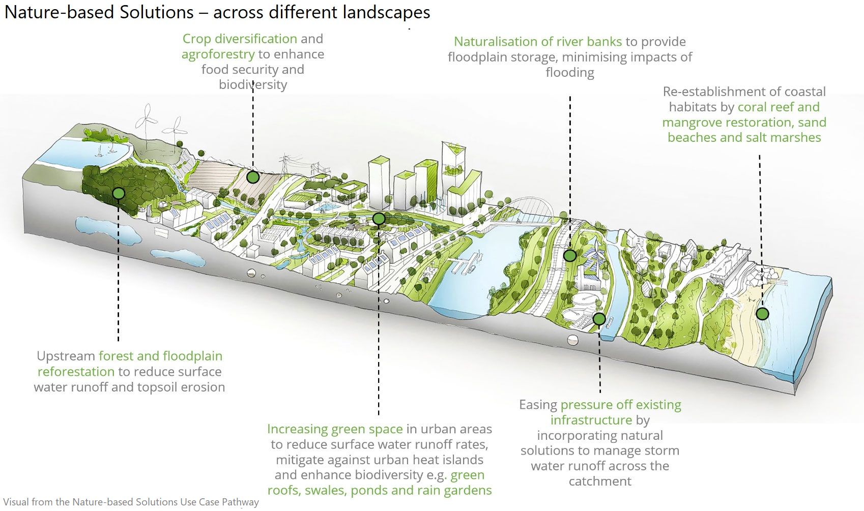 Infographic Nature Based Solutions Across Different LandScapes