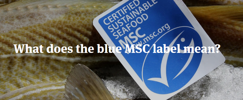 What does the blue MSC label mean?