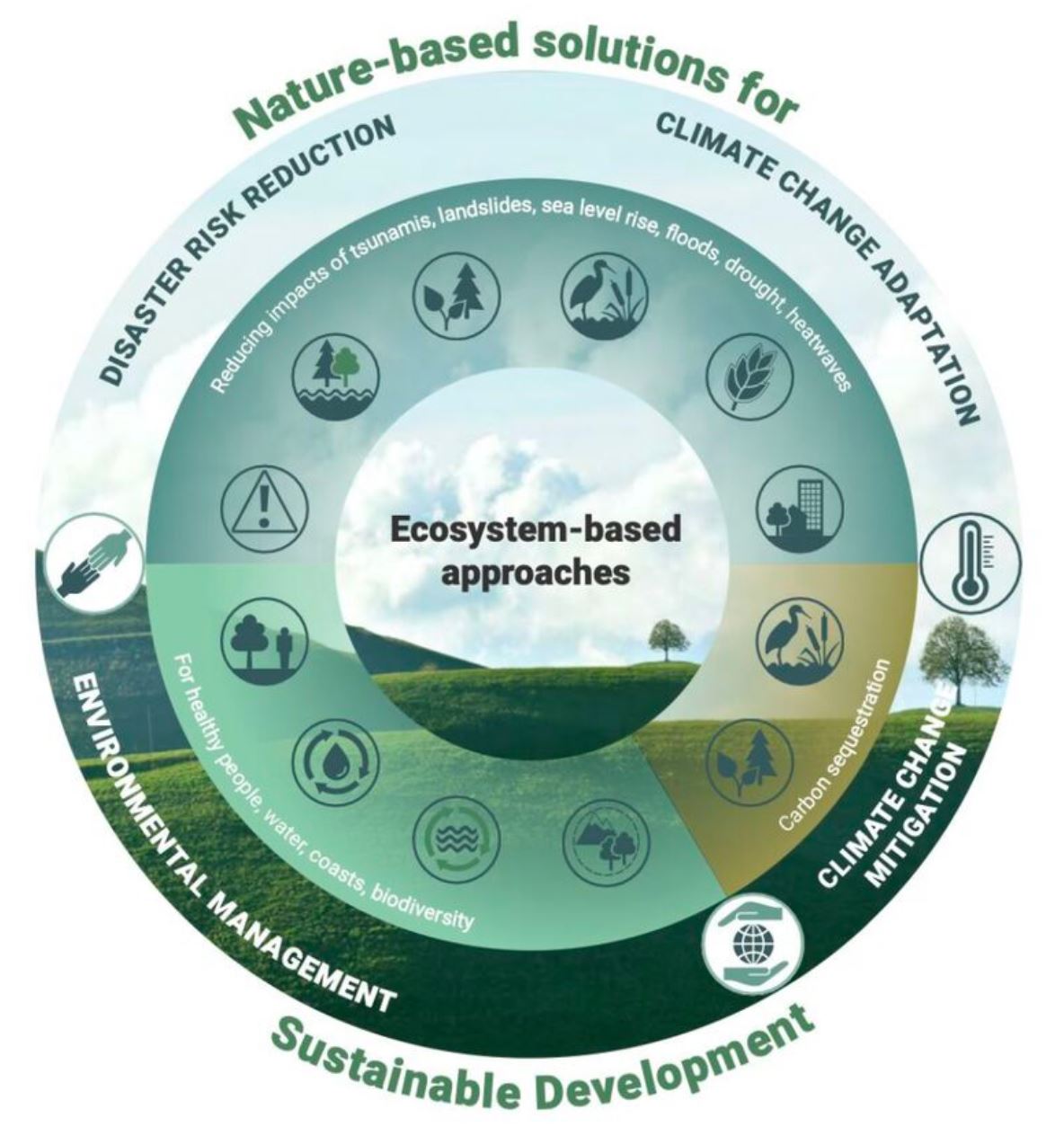 Nature-based solutions for Sustainable Development