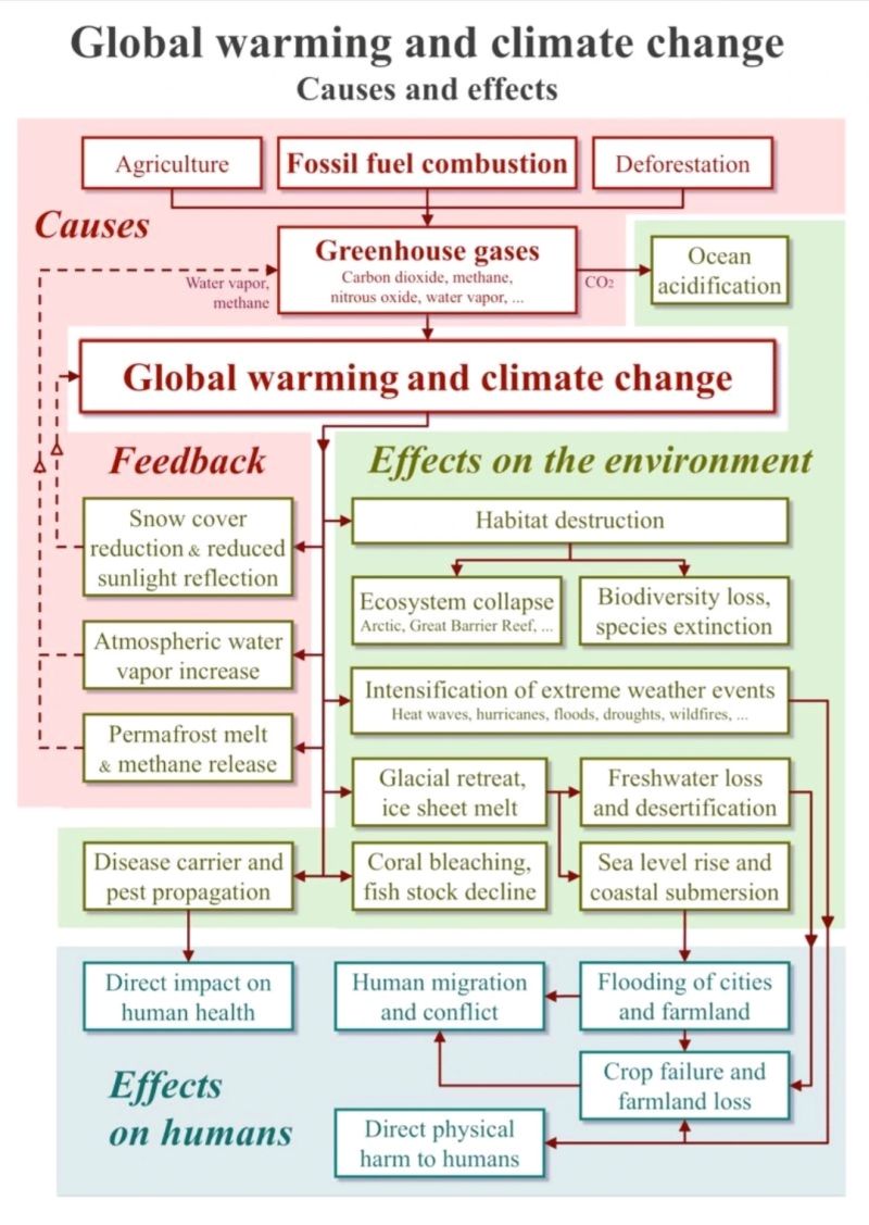 Global warming and climate change cause and effect