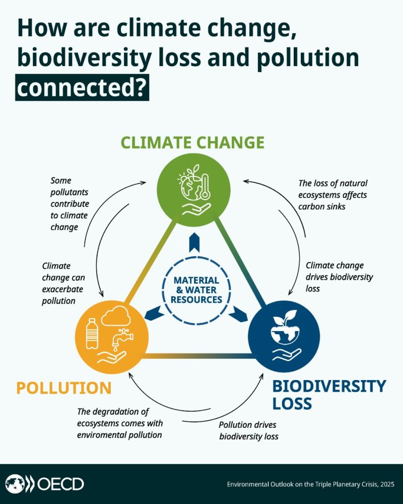 How are climate change, biodiversity loss and pollution connected?