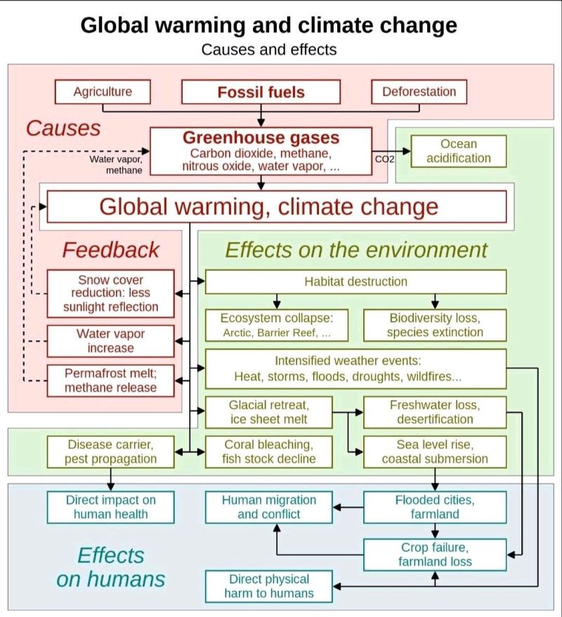 Global warming and climate change