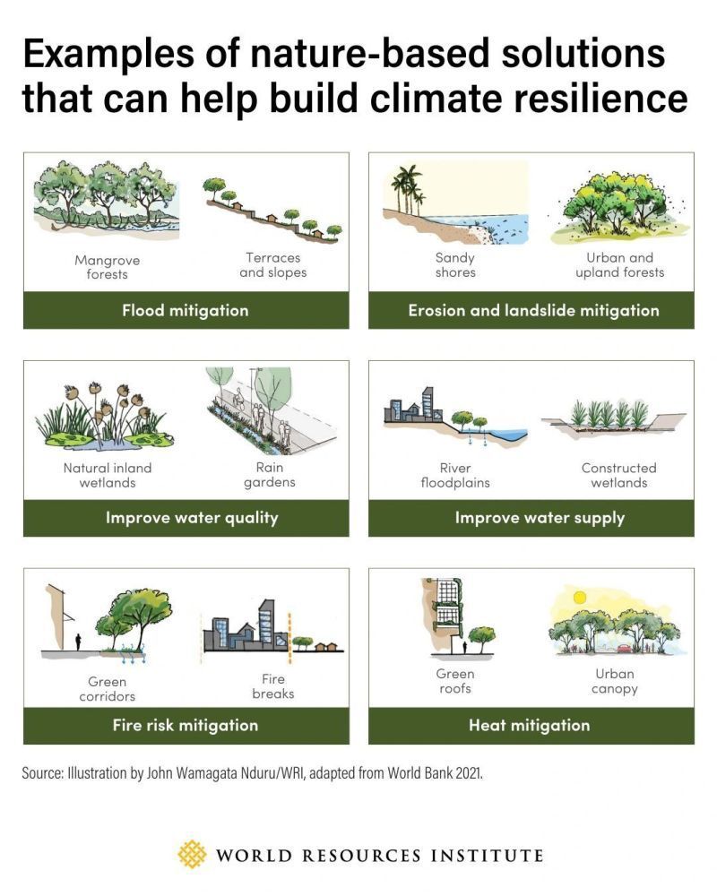 Examples of nature-based solutions that can help build climate resilience