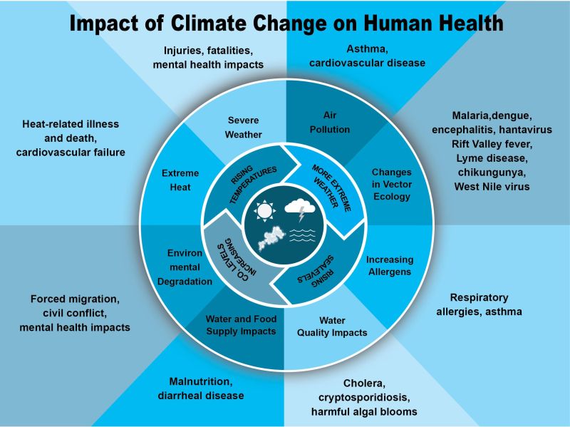 Impact of climate change on human health